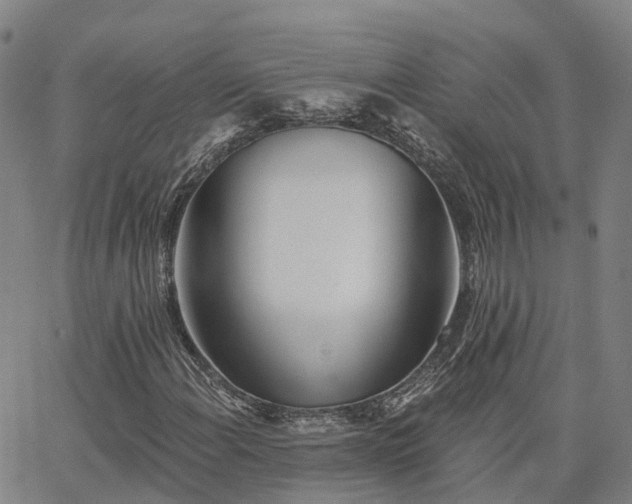 X0000063451108200601271532