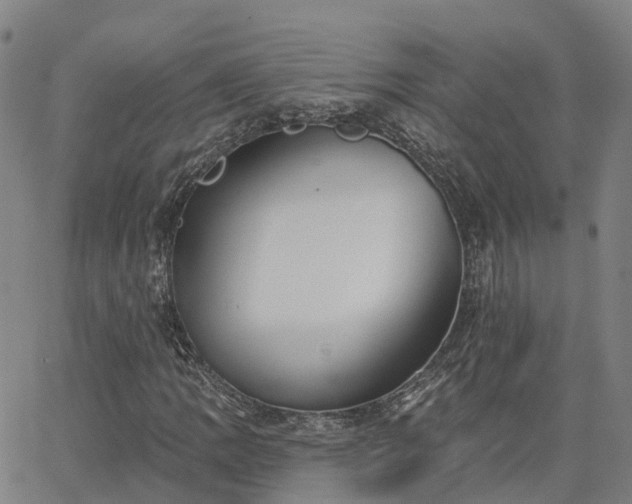 X0000063451109200601271532