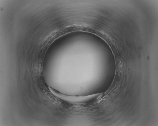 X0000063451110200601271532