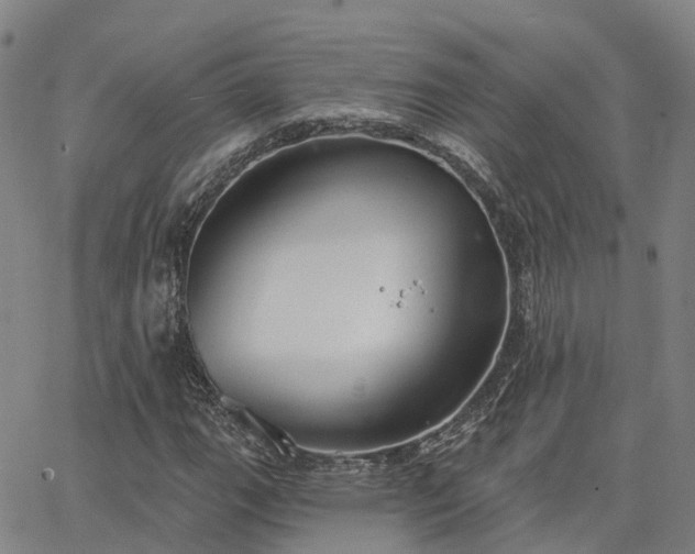 X0000063451111200601271532