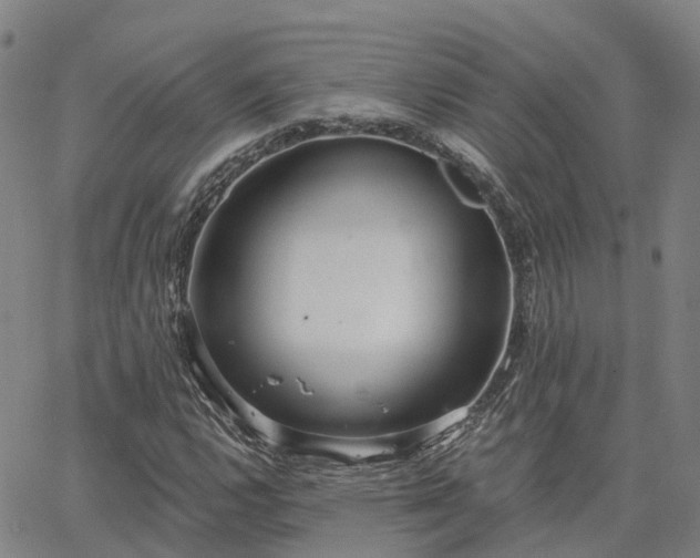 X0000063451112200601271532