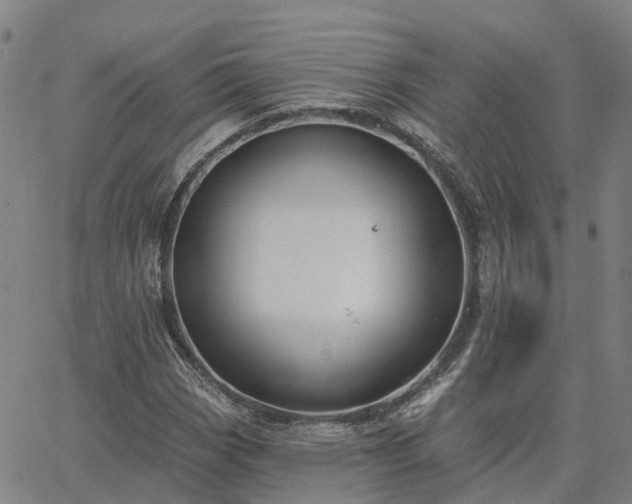 X0000063451113200601271532