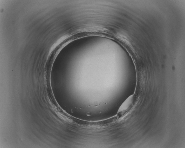 X0000063451114200601271532