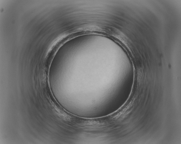 X0000063451115200601271532