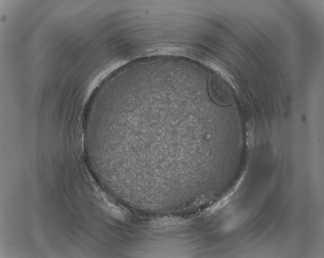 X0000063451117200601271532