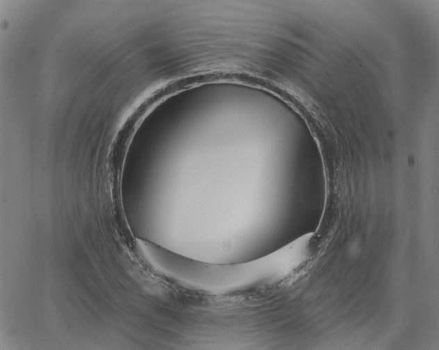 X0000063451118200601271532