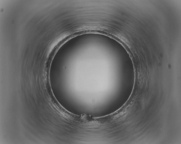 X0000063451119200601271532