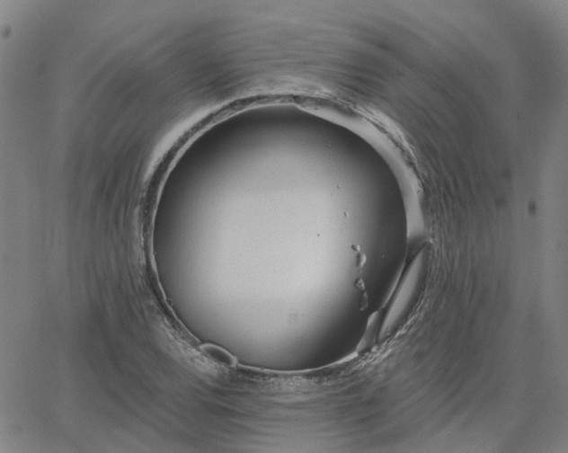 X0000063451120200601271532