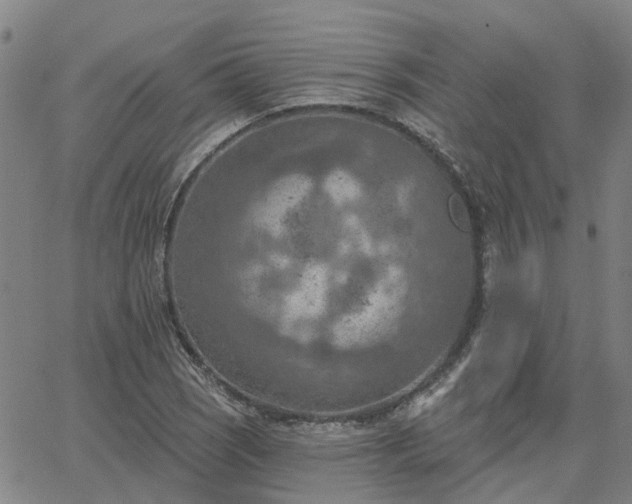 X0000063451121200601271532