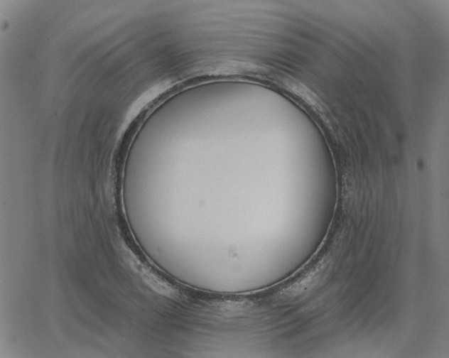 X0000063451122200601271532