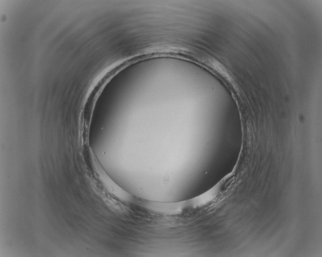 X0000063451124200601271532