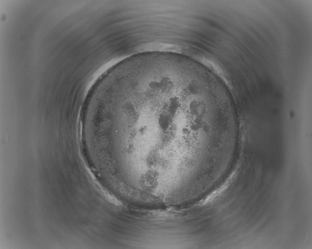 X0000063451125200601271532