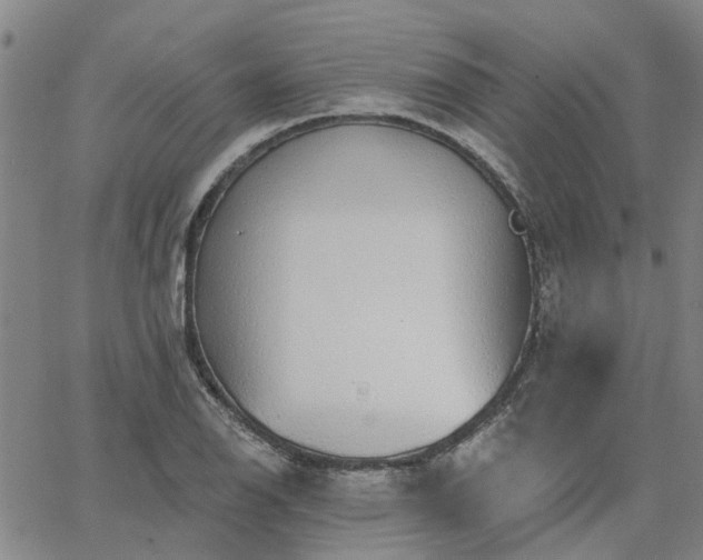 X0000063451126200601271532