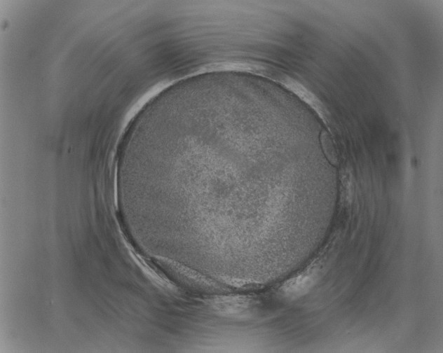 X0000063451127200601271532