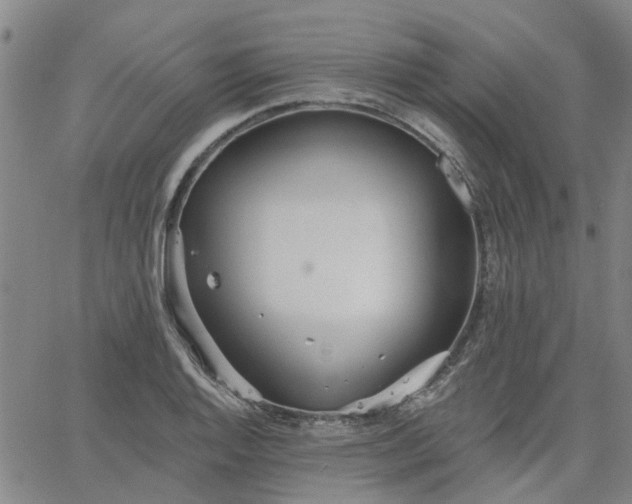 X0000063451128200601271532