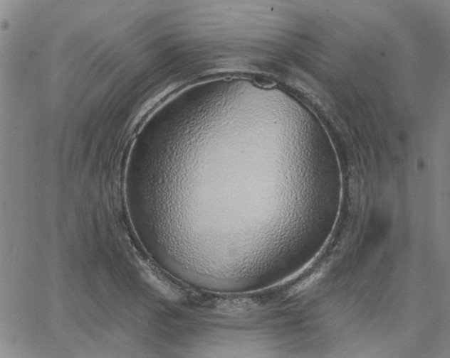 X0000063451129200601271532