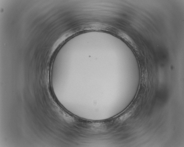 X0000063451130200601271532