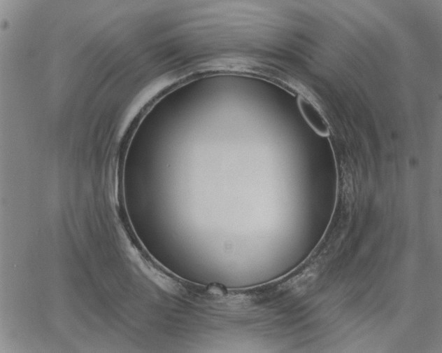 X0000063451131200601271532