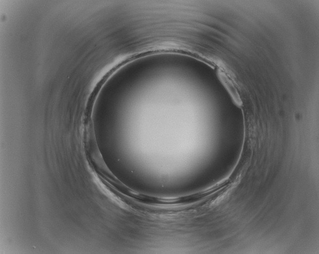 X0000063451134200601271532