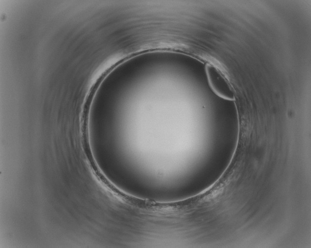 X0000063451135200601271532