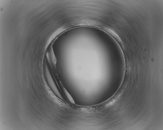 X0000063451138200601271532