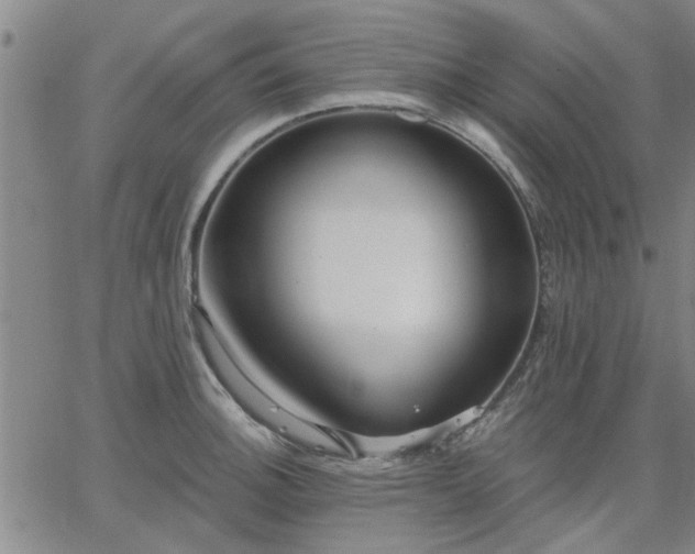 X0000063451140200601271532