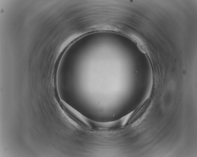 X0000063451141200601271532