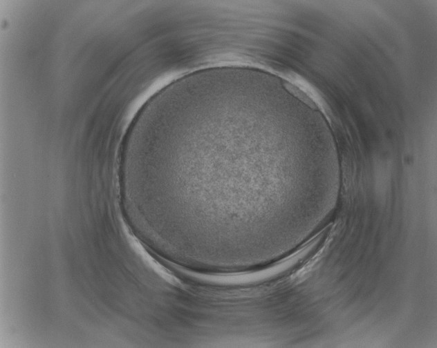 X0000063451142200601271532