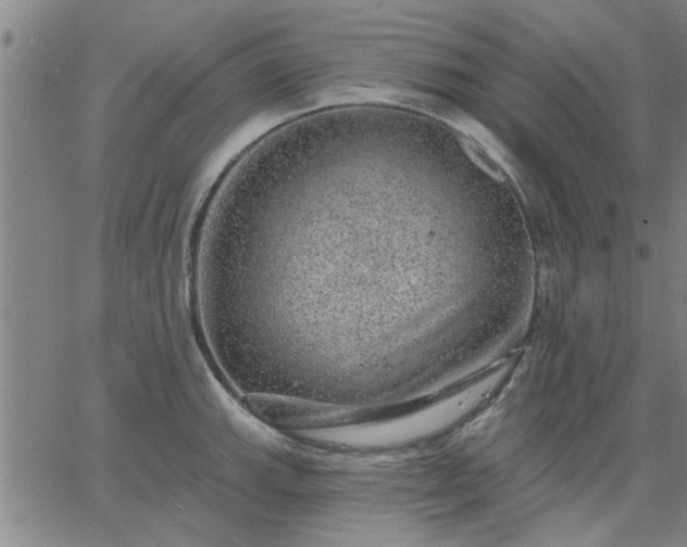 X0000063451143200601271532