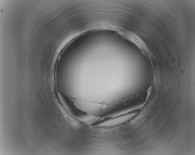 X0000063451144200601271532