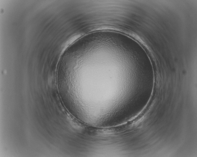 X0000063451145200601271532