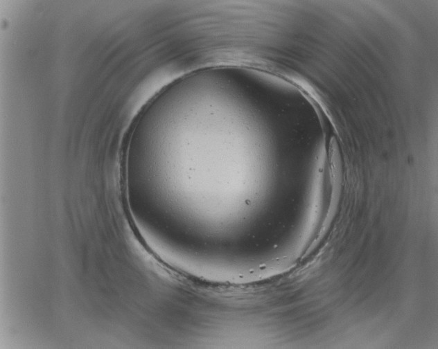 X0000063451147200601271532