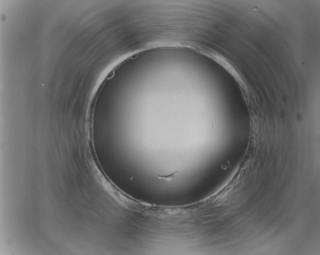 X0000063451148200601271533