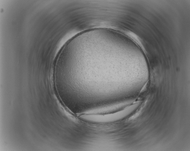 X0000063451149200601271533