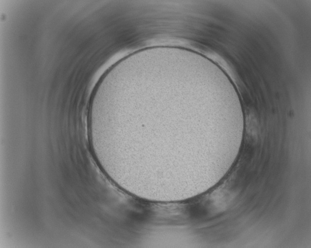 X0000063451150200601271533