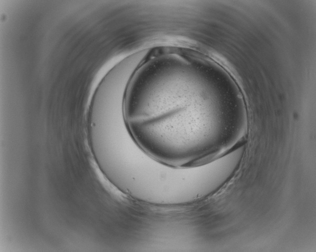 X0000063451152200601271533