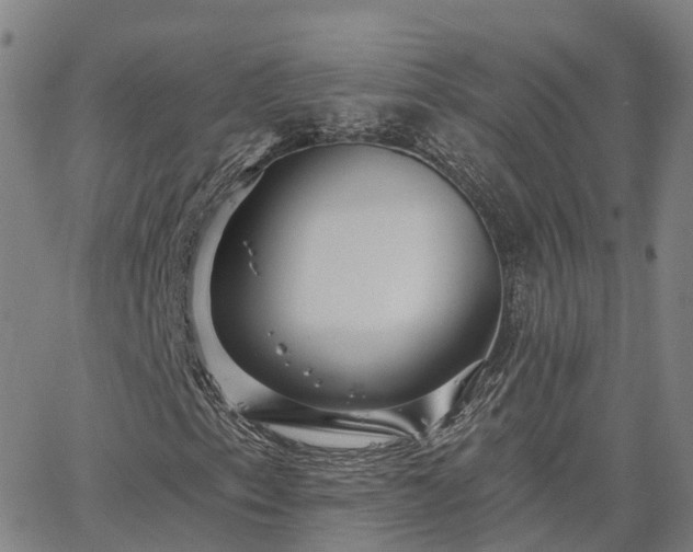 X0000063451153200601271532