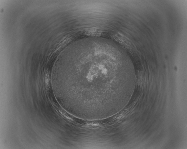 X0000063451154200601271532