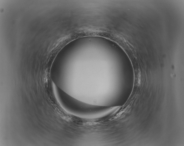 X0000063451157200601271532