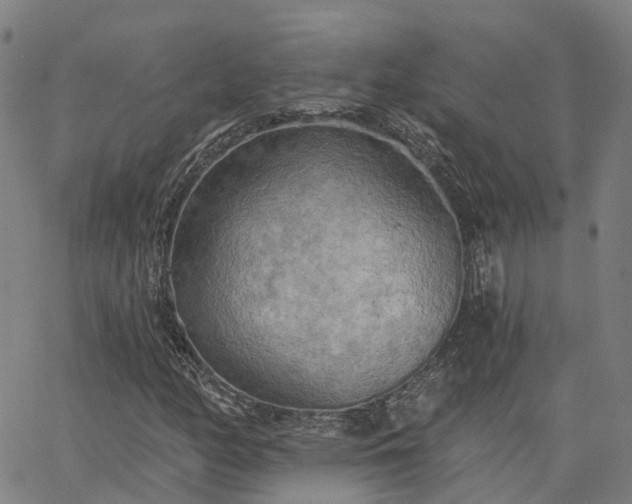 X0000063451158200601271532