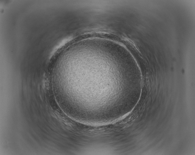 X0000063451159200601271532