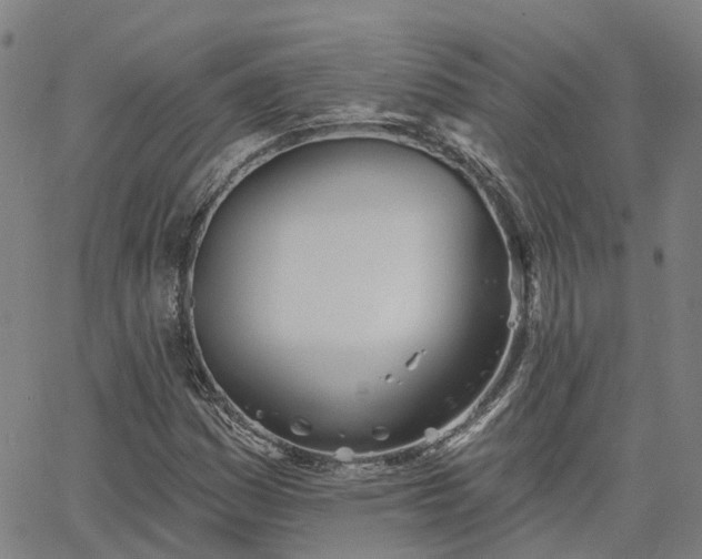 X0000063451161200601271532