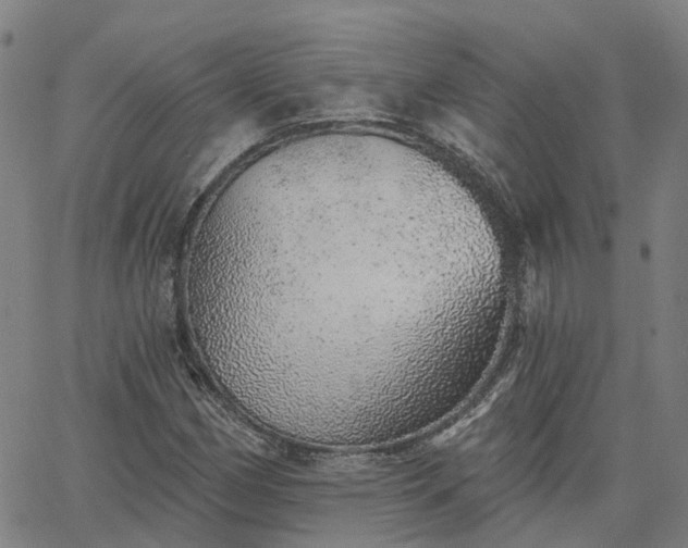 X0000063451162200601271532