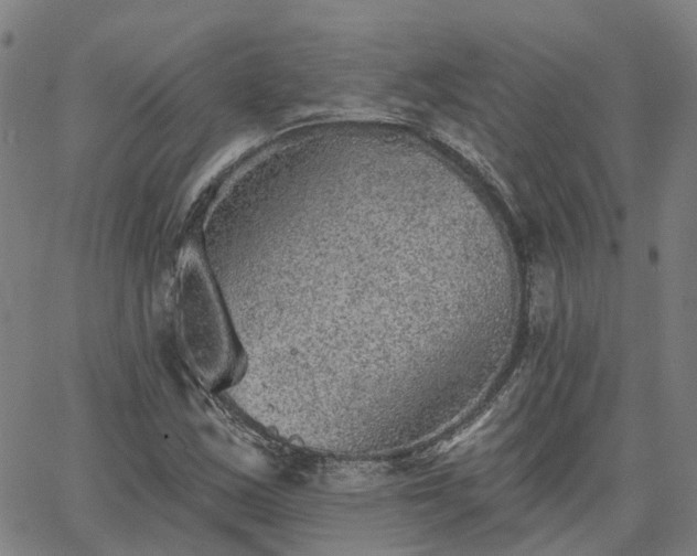 X0000063451163200601271532