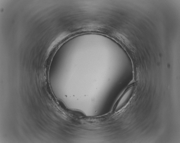 X0000063451164200601271532