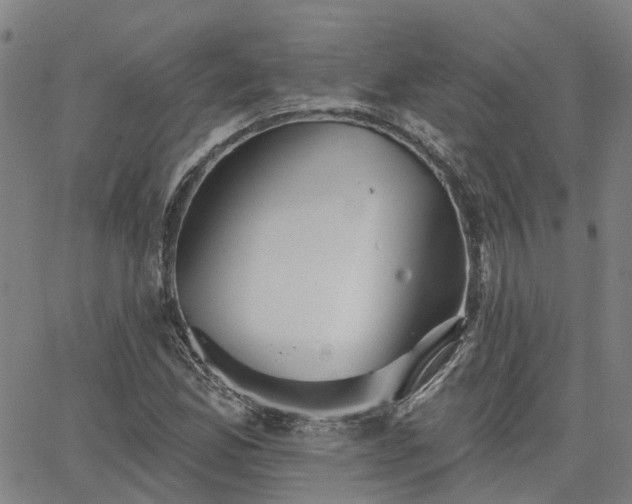 X0000063451165200601271532