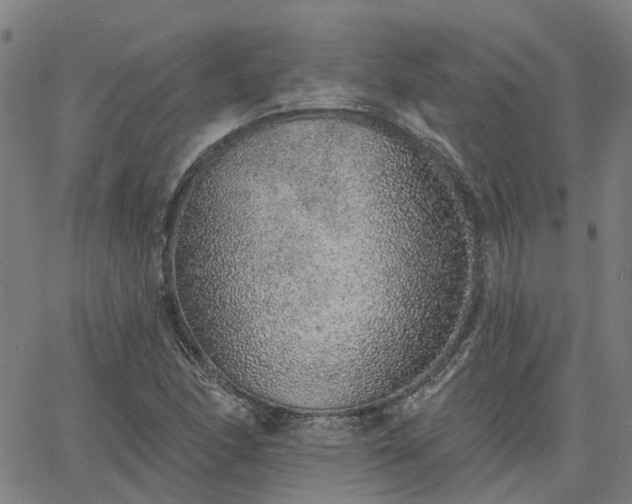 X0000063451166200601271532