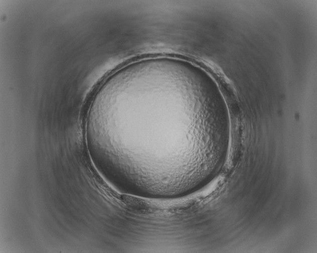 X0000063451167200601271532