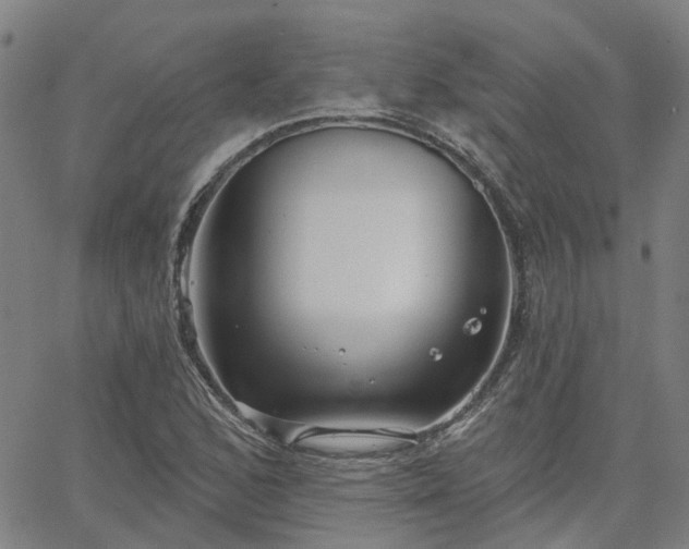 X0000063451168200601271532