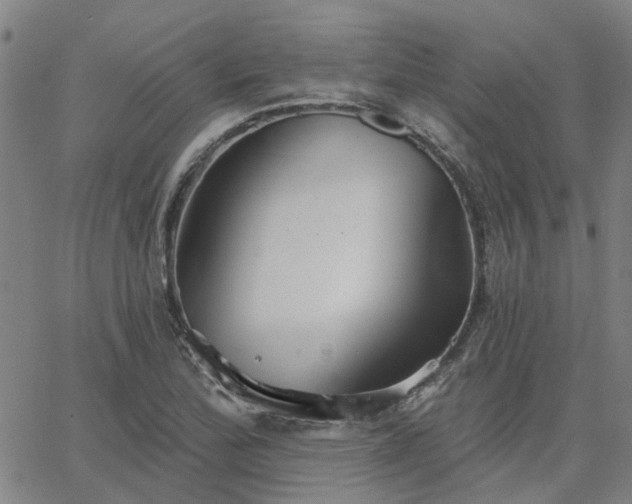 X0000063451172200601271531